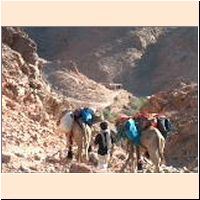 Sinai111 - Wadi Shag.jpg